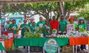 Quitanda da SAF leva produtos da agricultura familiar ao Diálogos pelo Piauí 