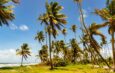 Ilha oferece experiências autênticas e algumas das melhores praias do Caribe