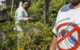 MINAS GERAIS: Estado tem tendência de queda de casos de dengue