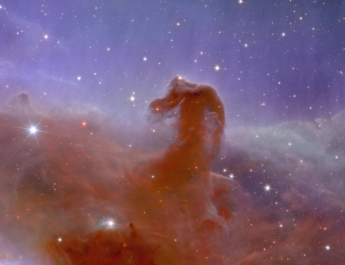 O que é a nebulosa Cabeça de Cavalo? Conheça sua localização e composição