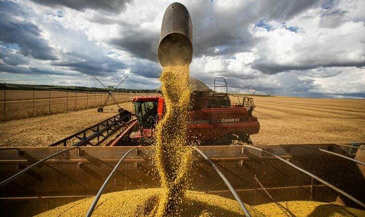 Brasil recua 2,6% a exportação diária de soja em maio