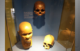 Descoberta de um dos esqueletos mais antigos das Américas completa 50 anos