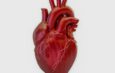A cada 72 segundos, uma pessoa morre por doença cardiovascular no país