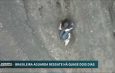 Brasileira segue desaparecida e mobiliza operação