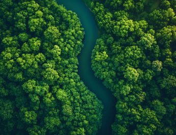 Governo do Amazonas usará agente de IA para controlar licenciamento ambiental