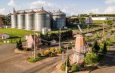Holambra Cooperativa Agroindustrial reduz falsos positivos em 35% com SonicWall