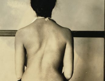 Torta – Revista Cult