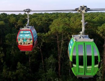 Transporte gratuito da Disney movimenta mais de 130 mi