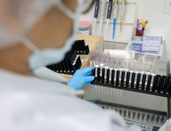 Malária: Anvisa autoriza teste em humanos de vacina 100% brasileira