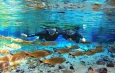 Bonito: 4 motivos para visitar a Nascente Azul no inverno