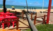 Coqueiro cai e bloqueia ciclovia na Orla de Maceió