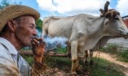 Mostra gratuita com 67 artistas ocupa Parque Glória Maria no Rio
