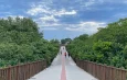 Vila Velha (ES): como é a ciclovia na reserva de Jacarenema