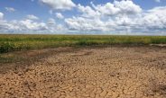 Defesa Civil reconhece situação de emergência por seca em município do Sul do Piauí