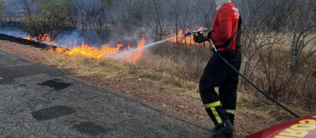 Bombeiros combatem incêndio de grandes proporções em área de vegetação no RN