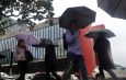 Chuvas em SP: cidades do Vale do Ribeira estão em estado de emergência