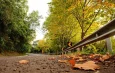 Pé na estrada: 5 road trips para fazer pelo Brasil