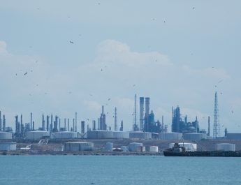 Testemunho “mais que humano” da guerra na América Latina