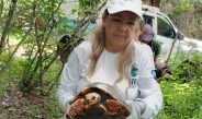 Polícia Ambiental registra 496 ocorrências com animais silvestres no Piauí