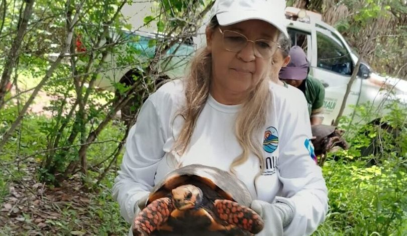 Polícia Ambiental registra 496 ocorrências com animais silvestres no Piauí