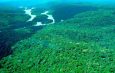 Com Lula Brasil registra o menor desmatamento da história na Amazônia e no Cerrado