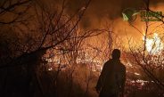 Piauí tem quase 200 municípios com brigadas florestais capacitadas para combater incêndios