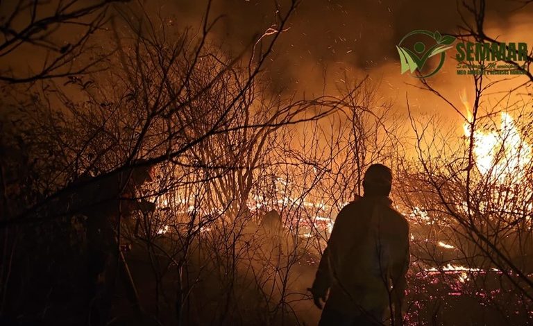 Piauí tem quase 200 municípios com brigadas florestais capacitadas para combater incêndios