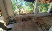 PM e Ibama apreendem aves silvestres em Ilha Grande